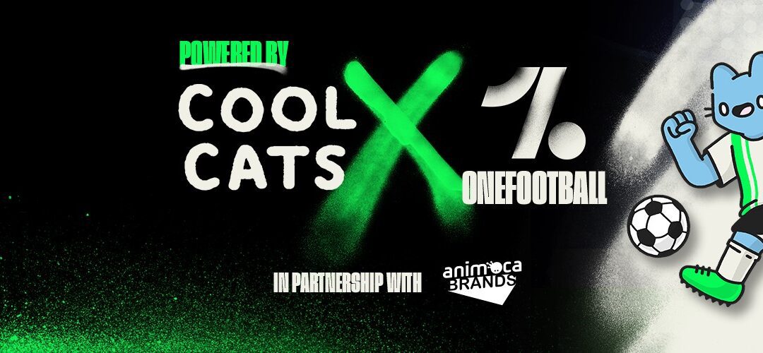 Cool Cats FC Mint el 17 de noviembre